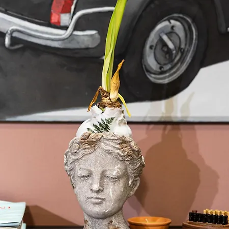 Unyca - Atelier Santa Croce Apartamento *